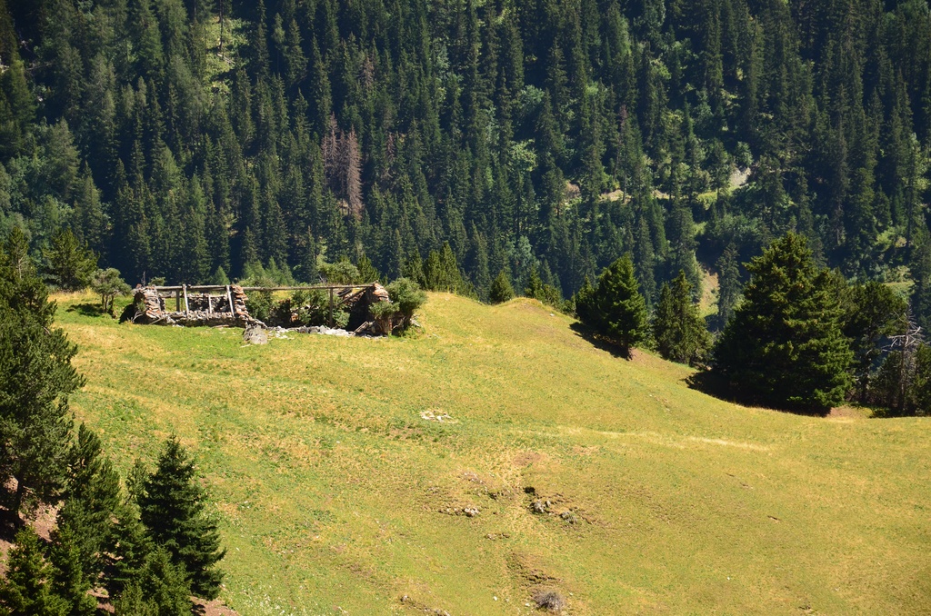 2015-07 Savoie/Lac blanc/DSC_0133.JPG